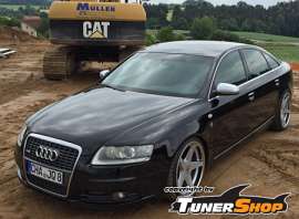 Audi A6 (4F,C6) 2.0 TDI 136 HP multitronic DPF