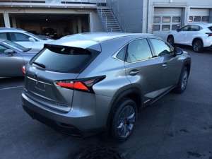 Lexus NX 300h 2.5hyb CVT (155 HP) 4WD