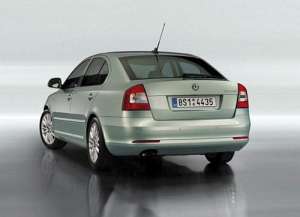 Skoda Octavia II (1Z3) RS 2.0 TDI 170 HP DSG