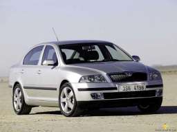 Skoda Octavia II (1Z3) 2.0 TDI PD 140 HP